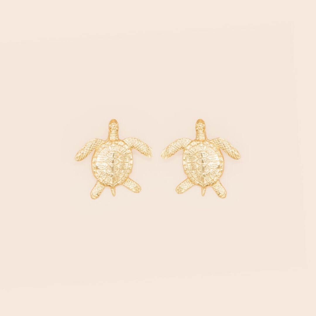 Turtle Earrings Model